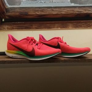 Nike Pegasus Turbo